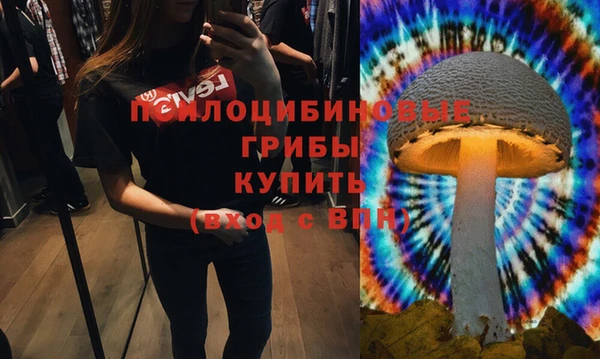бошки Армянск