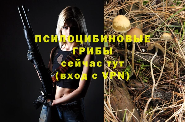 бошки Армянск